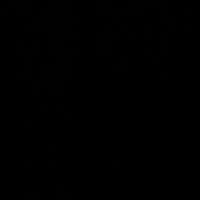 TikTok Account - questionmark624