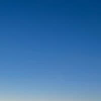 TikTok Account - kendrafleming