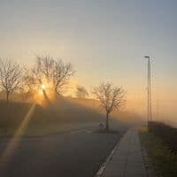 TikTok Account - dagmar_020