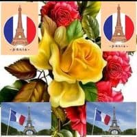 TikTok Account - riyasfrance