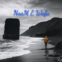 TikTok Account - tanha.dil8117