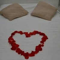 TikTok Account - sentimentos.reais11