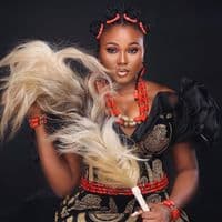 TikTok Account - adadioramma111