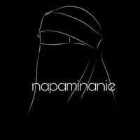 TikTok Account - napaminaniee