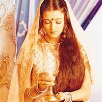 TikTok Account - bollymagazine