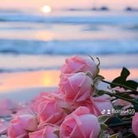 TikTok Account - florentina.cagdas.1