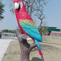 TikTok Account - masabal4321