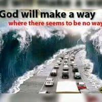 TikTok Account - loveuu003