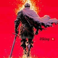 TikTok Account - viking.tunisia