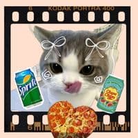 TikTok Account - q_.moonlight._