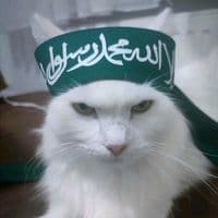 TikTok Account - severodonetsk_