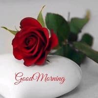 TikTok Account - rahatlah19