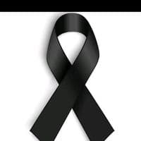 TikTok Account - anton123578