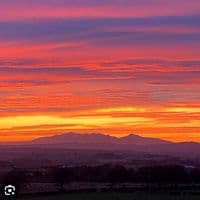 TikTok Account - 12346c21