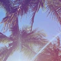 TikTok Account - freyinspoo