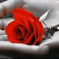 TikTok Account - sobiaa08