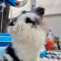 TikTok Account - grxcesocean