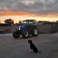 TikTok Account - johnny_ts115a