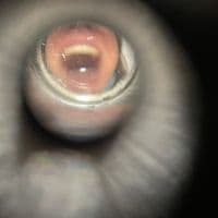 TikTok Account - aitthanne