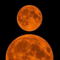 TikTok Account - yukim1sun