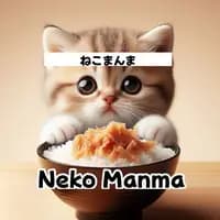 TikTok Account - taifu.me