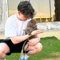 TikTok Account - daanhelper