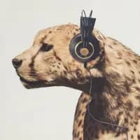 TikTok Account - music_sp0tify._