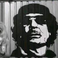 TikTok Account - i5_npr