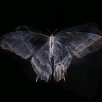 TikTok Account - luvingyoustill