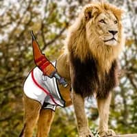 TikTok Account - africaabdillahiosman