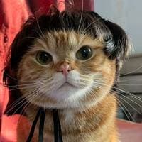 TikTok Account - remix_dj69