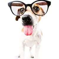 TikTok Account - kisses....kisses