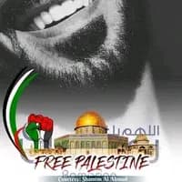 TikTok Account - billal2831