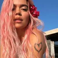 TikTok Account - lizkaren63