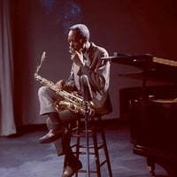 TikTok Account - ranjenialbatros