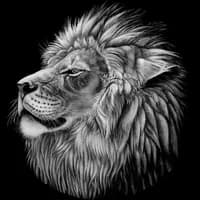 TikTok Account - dushevno21