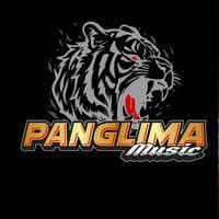 TikTok Account - panglima_music_