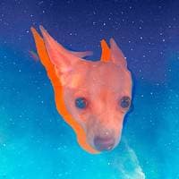 TikTok Account - peeloolaa