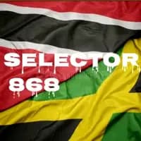 TikTok Account - theselector868