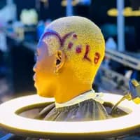 TikTok Account - violafyn2