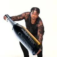 TikTok Account - virusdjmrvip229