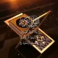 TikTok Account - c.fitaax040