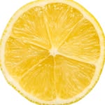 archiveoflemon
