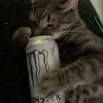 diego_44fx