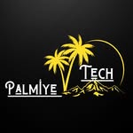 palmiyetech