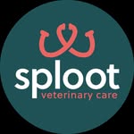 splootvets
