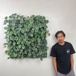 tanaman_indoor